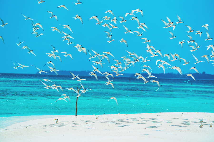 Kepulauan Kei Maluku Tenggara