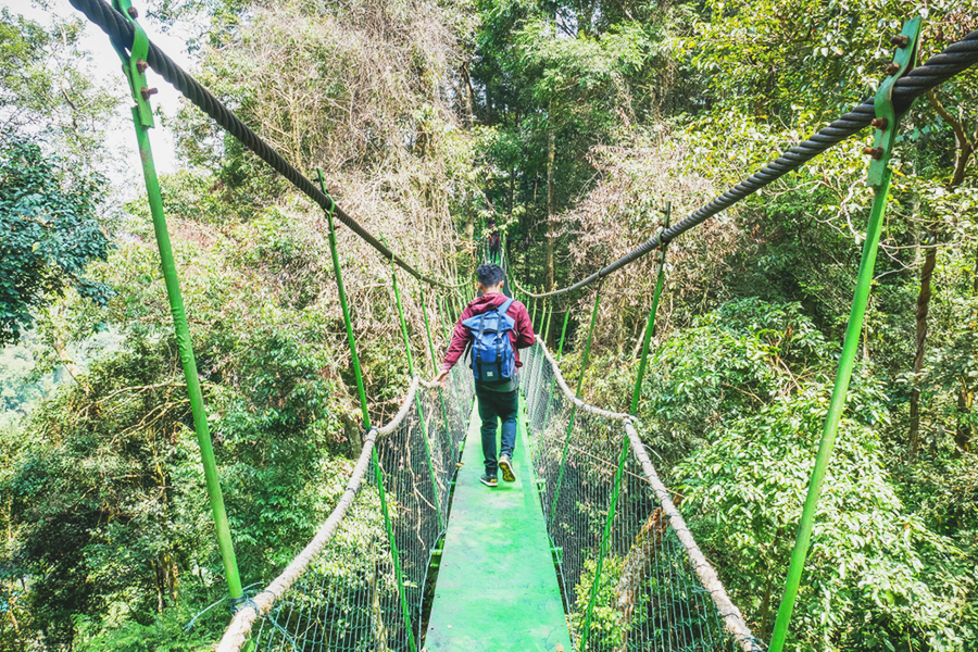 bukit lawang - canopy trail