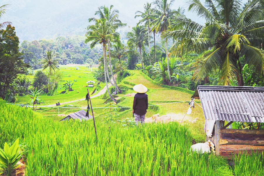Relaxing places in Subang