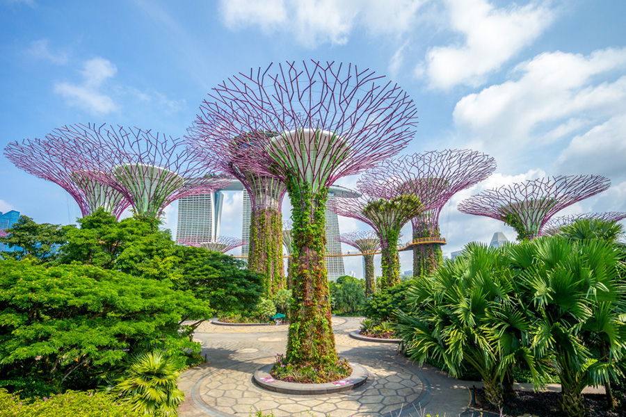 garden by the bay