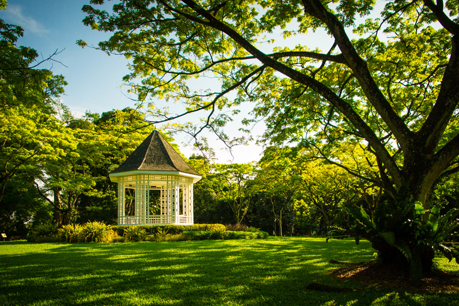 singapore botanic parks