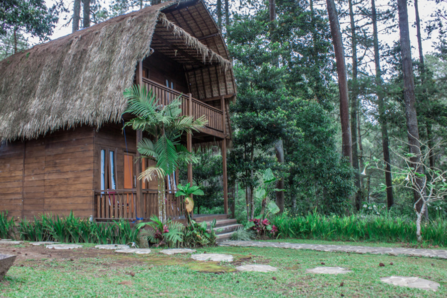 staycation in open nature
