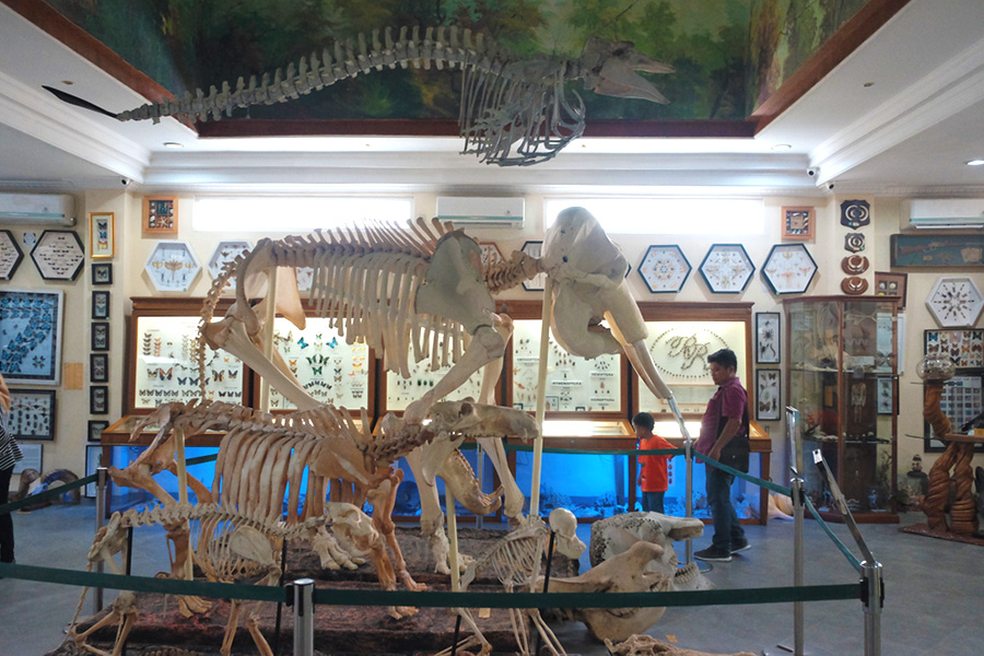tempat wisata keluarga di medan - Rahmat Zoo and Park
