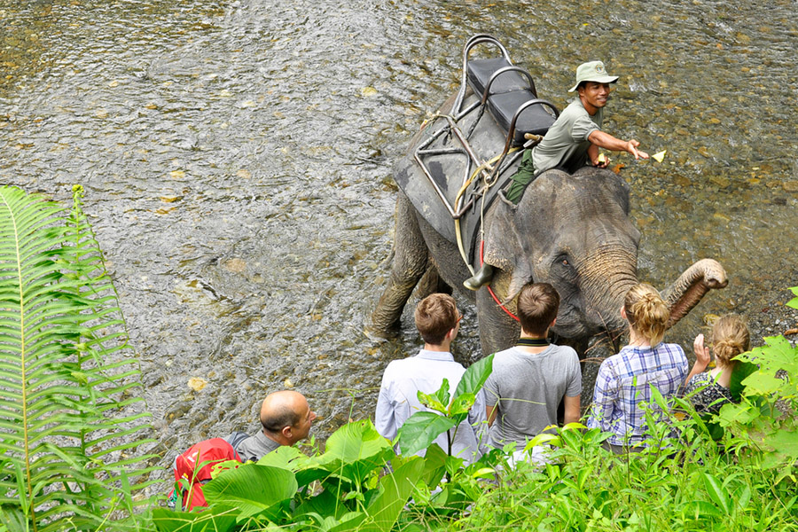 ecotourism in indonesia - bahorok tangkahan adventure