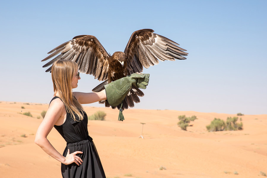 itinerary in abu dhabi
