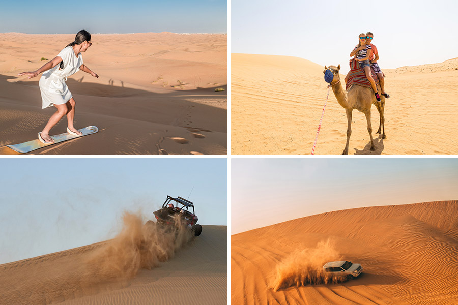 desert safari