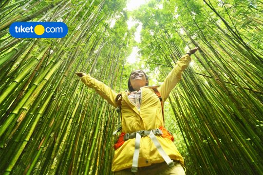 eco-friendly vacation