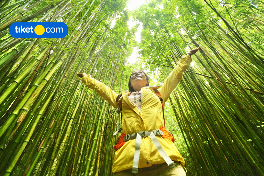 Stay Eco-Friendly! Here’s How You Save the Environment on Vacation