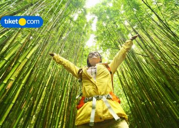Sayangi Lingkungan Saat Berwisata? Ini Caranya yang Bisa Kamu Lakukan!