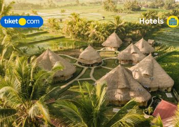 Eco-Friendly Hotels