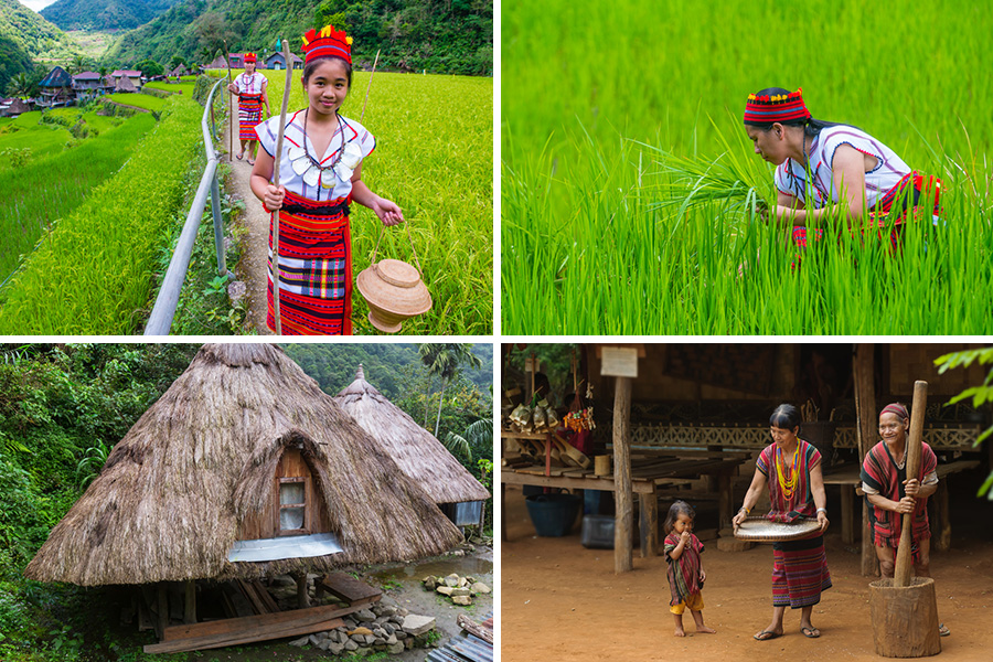 Banaue Rice Terraces