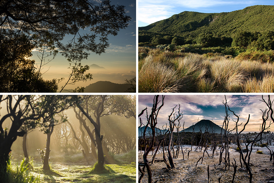 Papandayan Mountain Natural Tourism Park