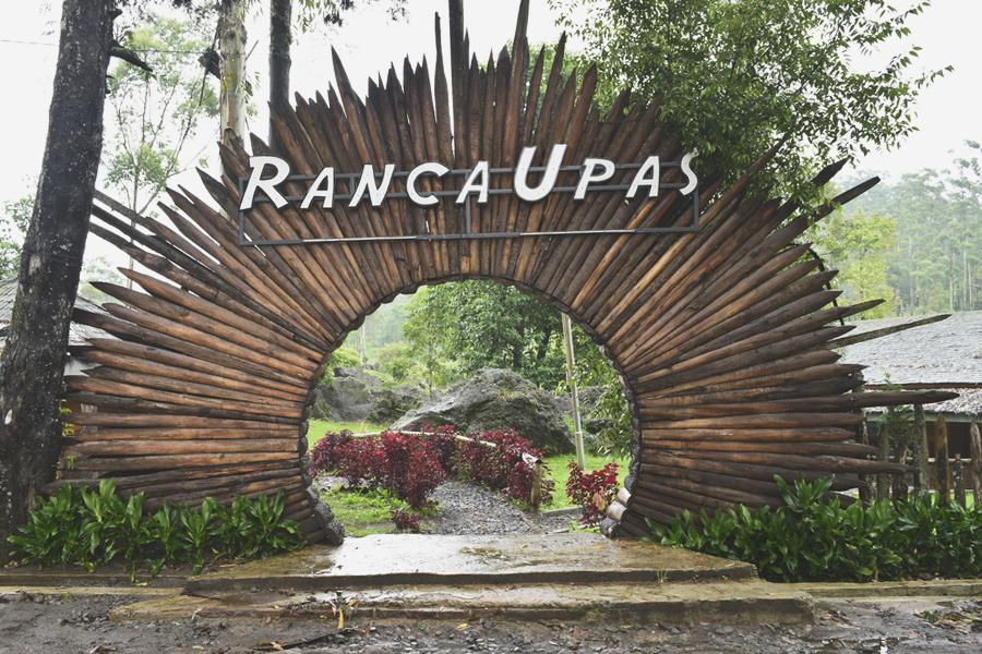 self-healing in bandung