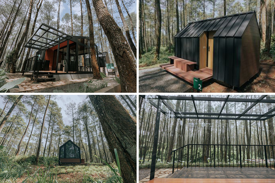 Rainforest Accommodations in Bandung - bobocabin cikole