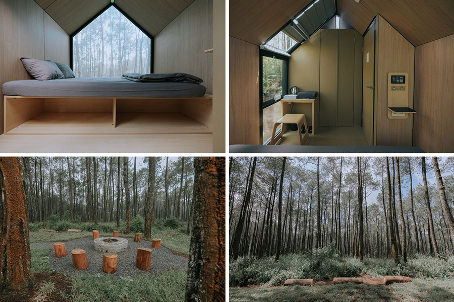 Penginapan di Tengah Hutan