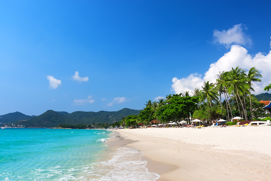 best time to visit thailand