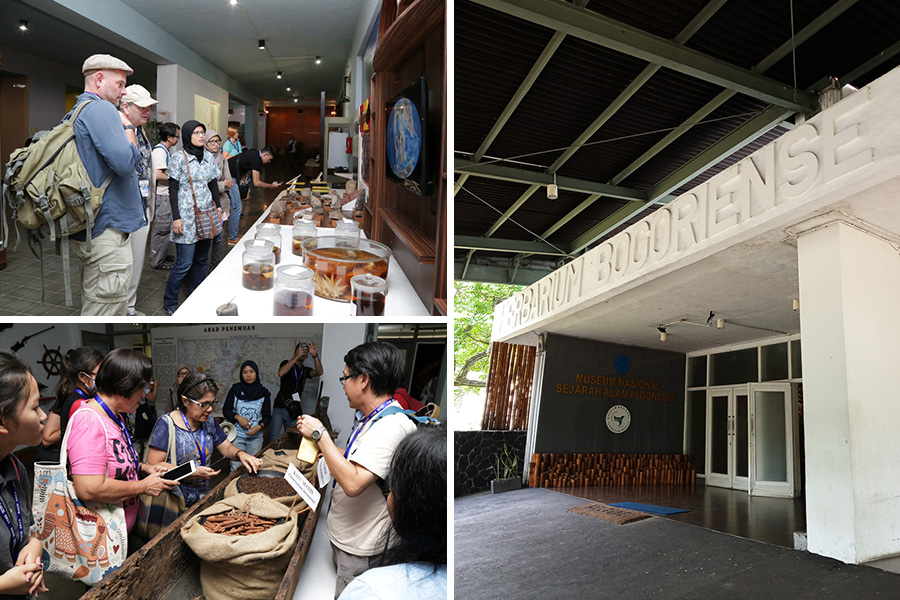 Attractions Near Bogor Train Station