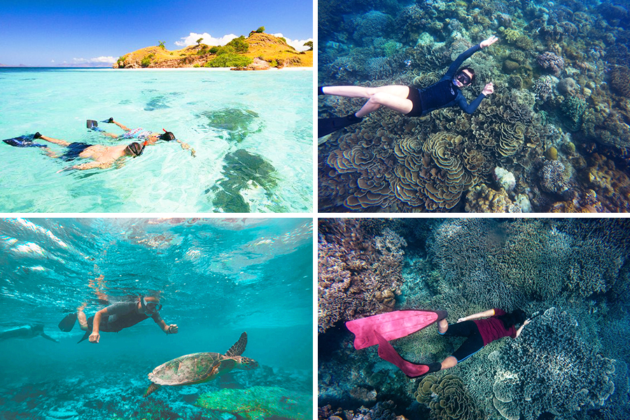 snorkeling in labuan bajo