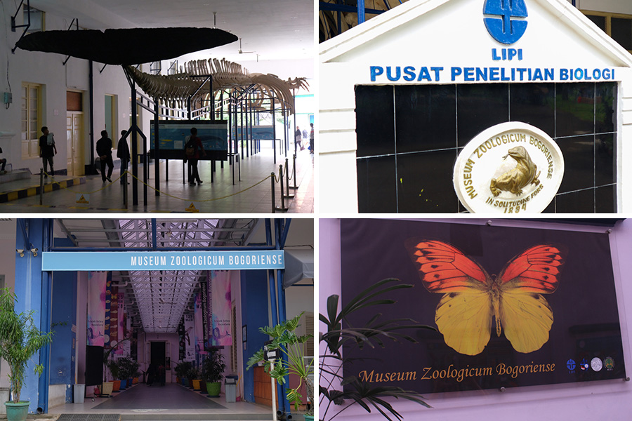 Attractions Near Bogor Train Station