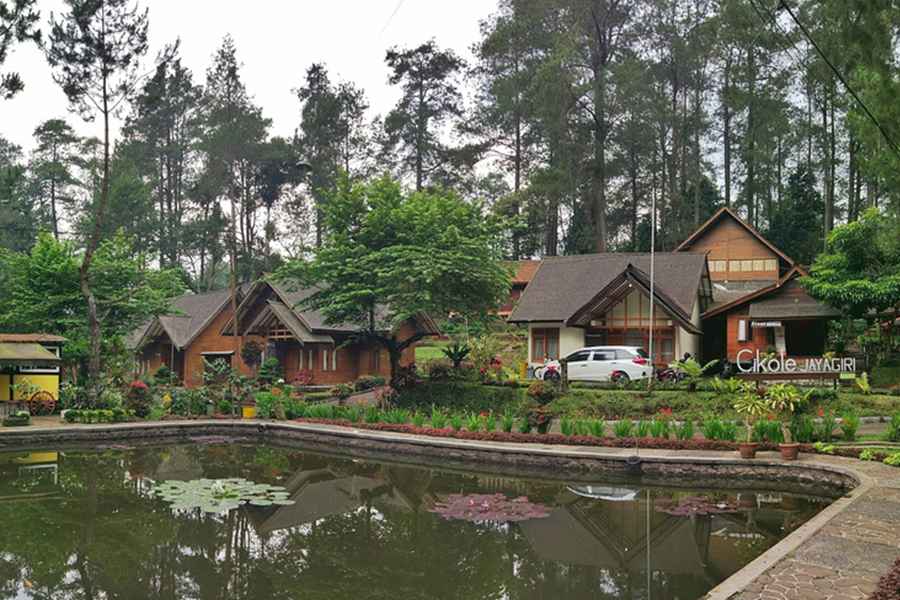 Rainforest Accommodations in Bandung - cikole jayagiri resort