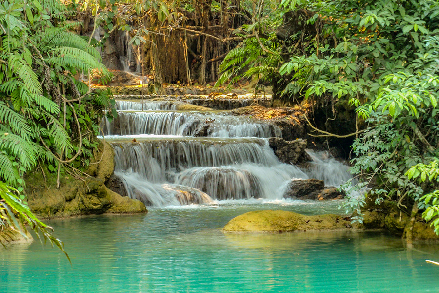 best time to visit thailand