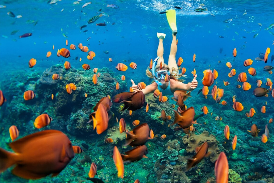 Paket Tour Petualangan