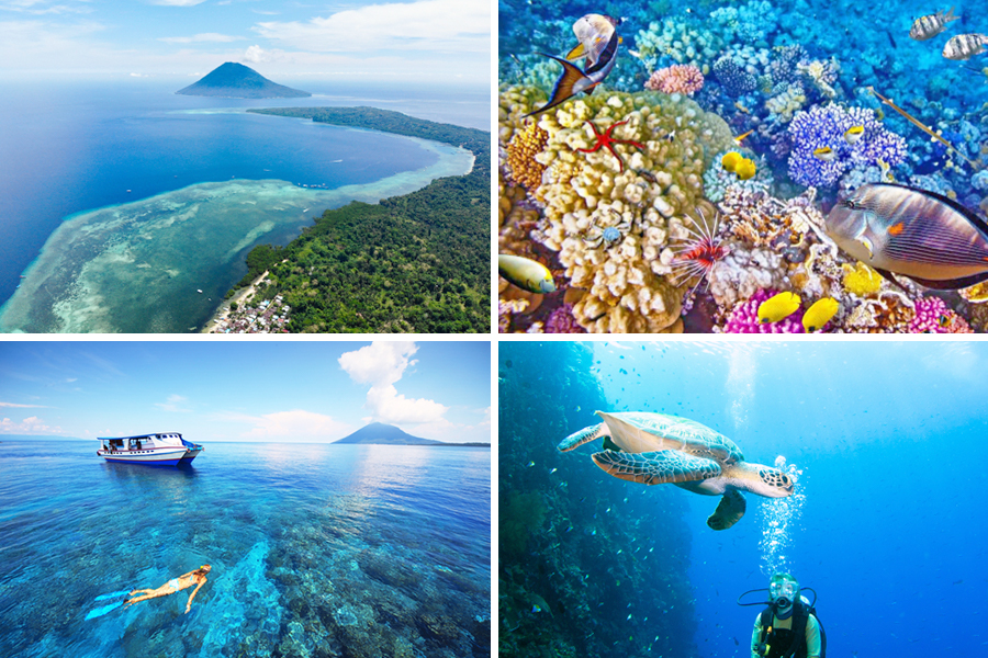 snorkeling in bunaken