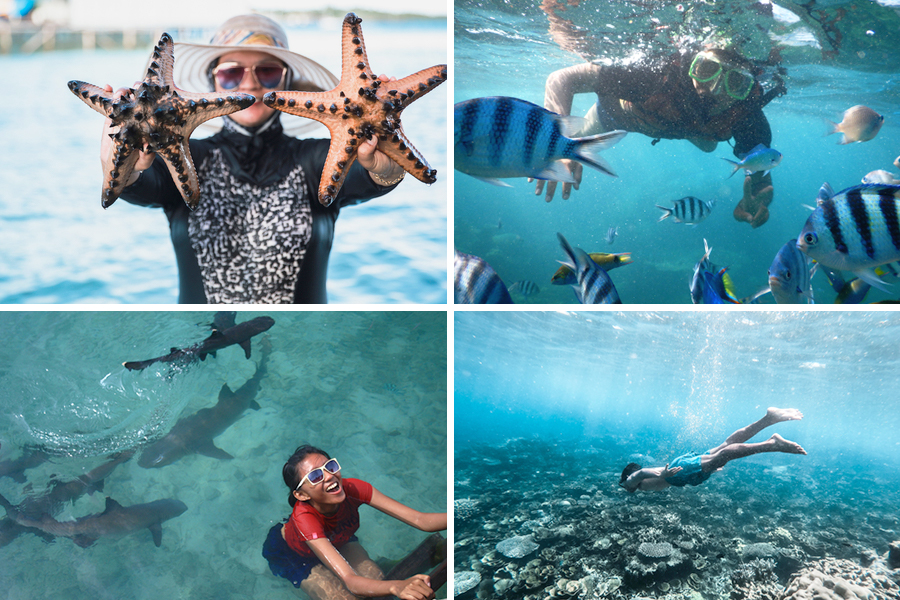 snorkeling in karimunjawa