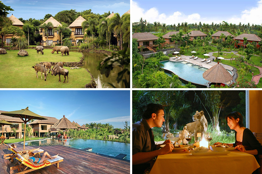 Wisata Mewah Terjangkau