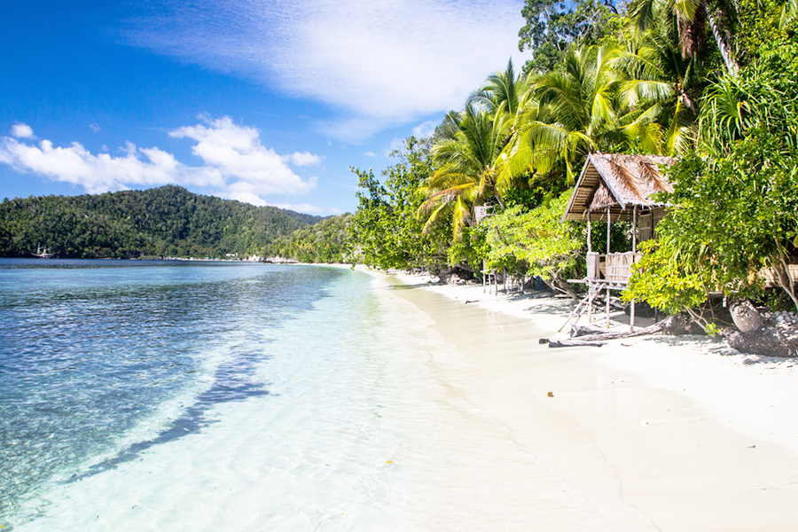 beach in raja ampat