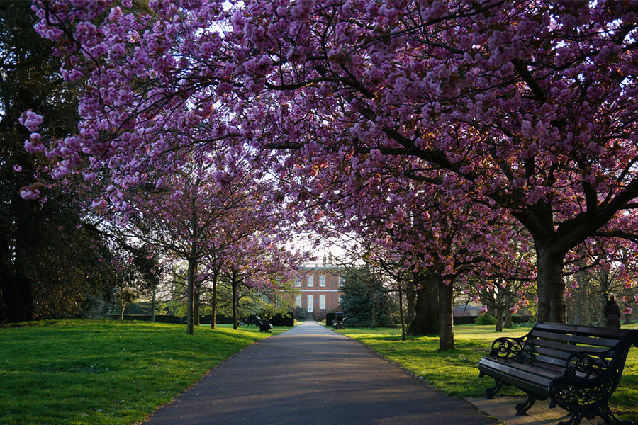 Tempat Wisata di London