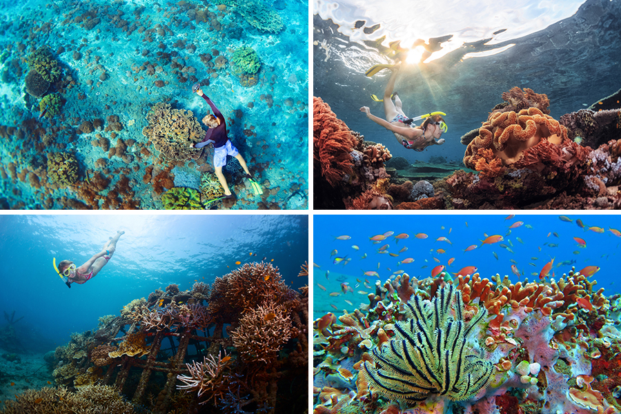 snorkeling in bali