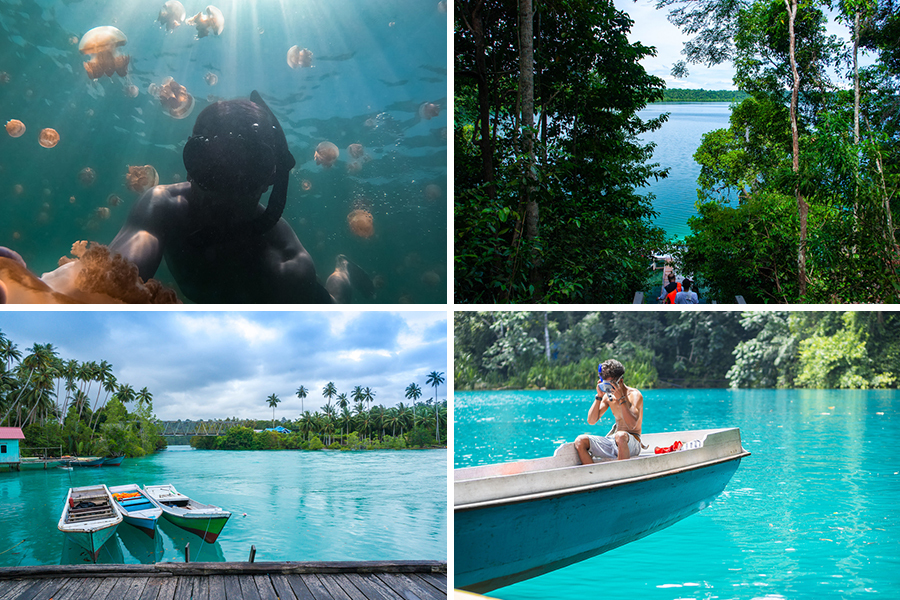 snorkeling in derawan island