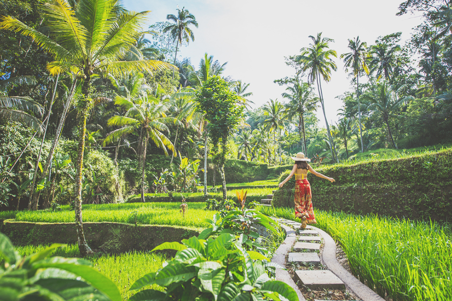 ubud bali