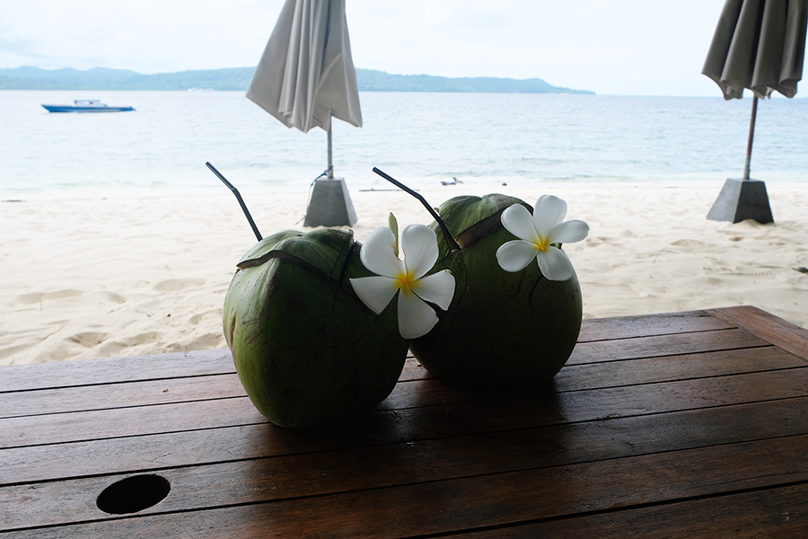 Wisata ke Pulau Lihaga Likupang - Kelapa Muda