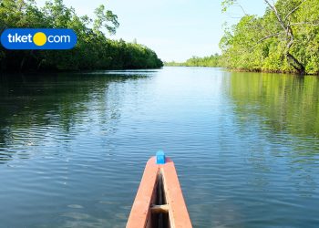 Menyusuri Cantiknya Sungai Mangrove Likupang, Ada Pohon Berdoa!
