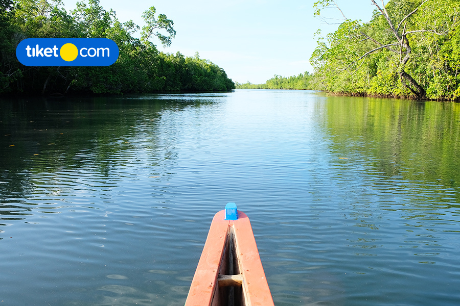 Menyusuri Cantiknya Sungai Mangrove Likupang, Ada Pohon Berdoa!