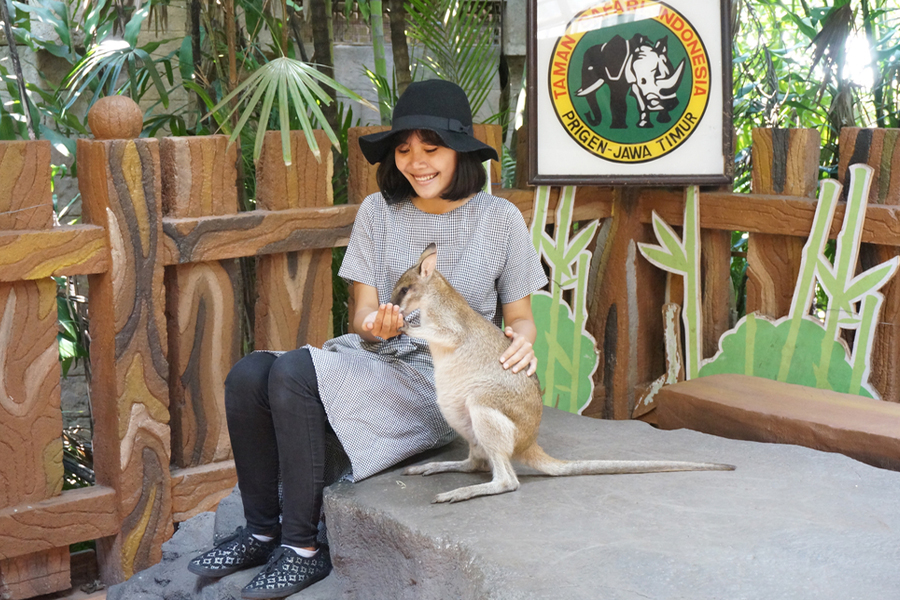 to dos 12.12 - taman safari prigen