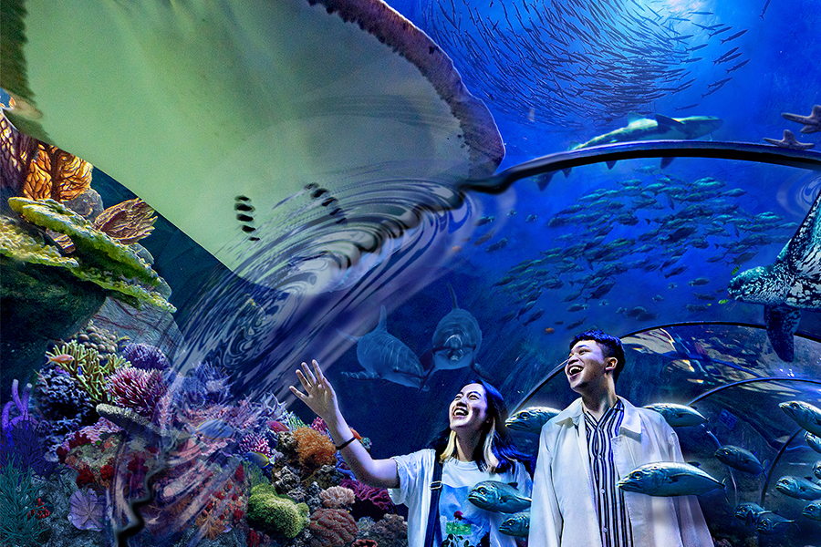 to dos 12.12 - sea world ancol