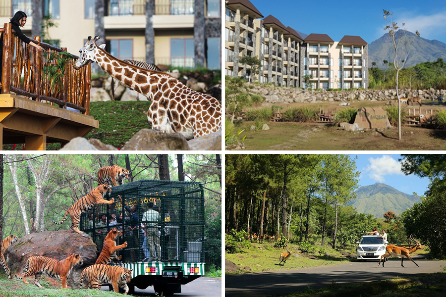 taman safari prigen