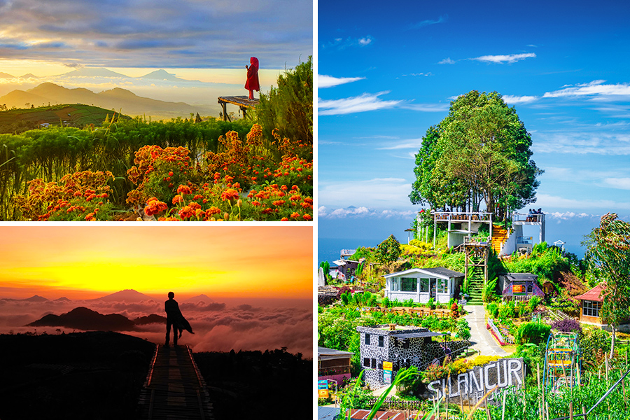 wisata sunrise magelang - Silancur Highland