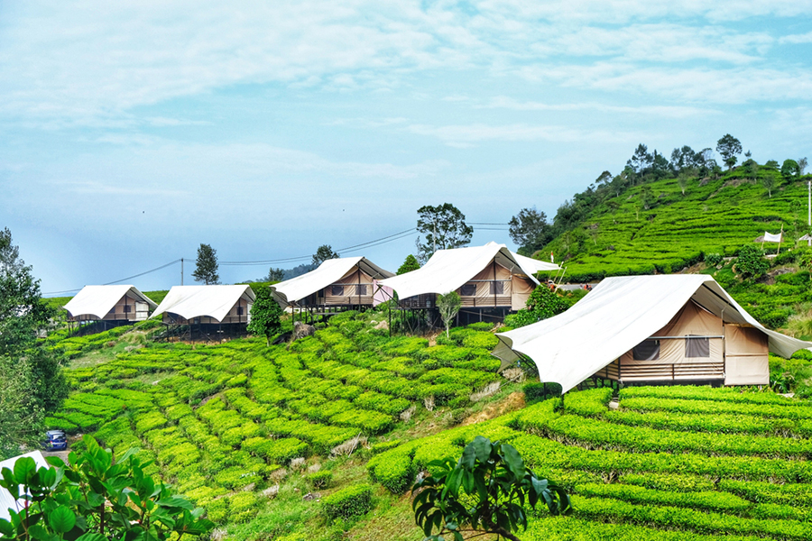Camping Grounds in Bandung - Glamping Lake Rancabali