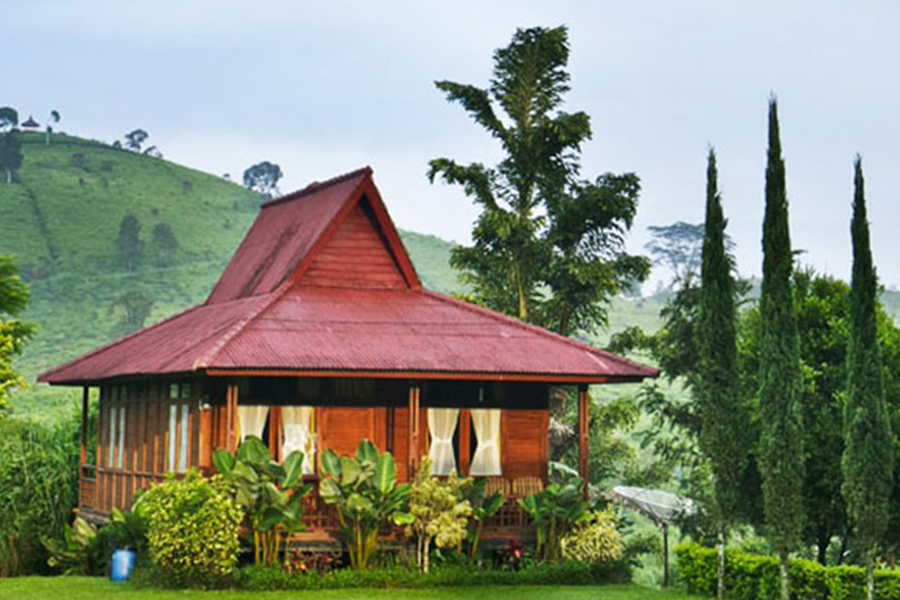 accommodations around bandung - malabar tea village