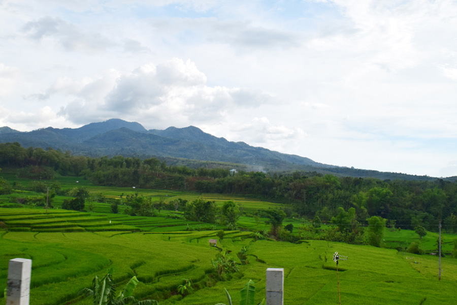 holiday to east java - madiun