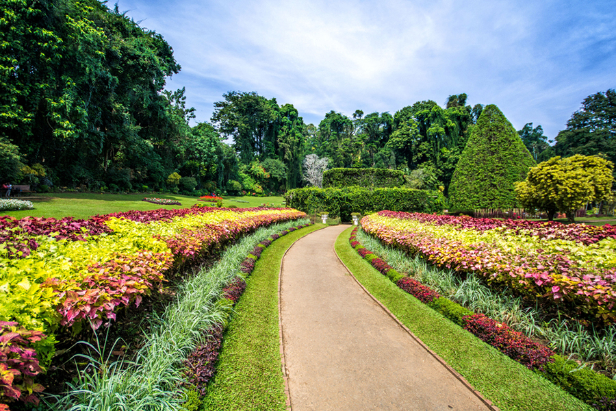 holiday in sri lanka - royal botanic gardens