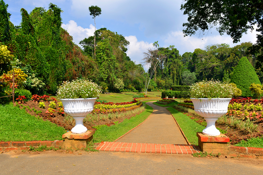 holiday in sri lanka - royal botanic gardens