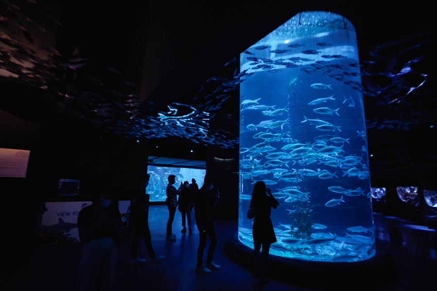 to dos 12.12 - jakarta aquarium & safari