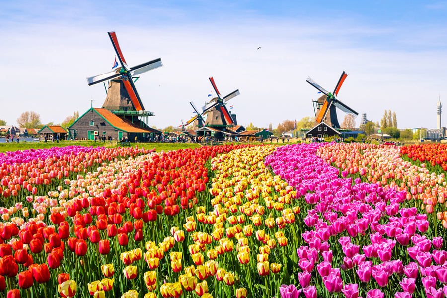 https://www.tiket.com/pesawat/rute/jakarta-ke-amsterdam?utm_source=blog&utm_medium=article&utm_campaign=product-flight&utm_content=destinasidomestik2022-amsterdam
