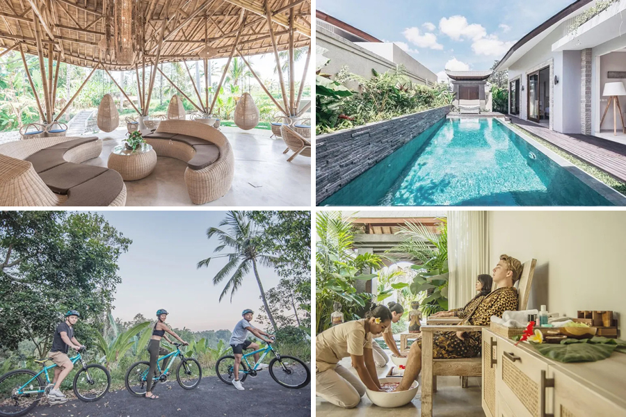 daun lebar villas