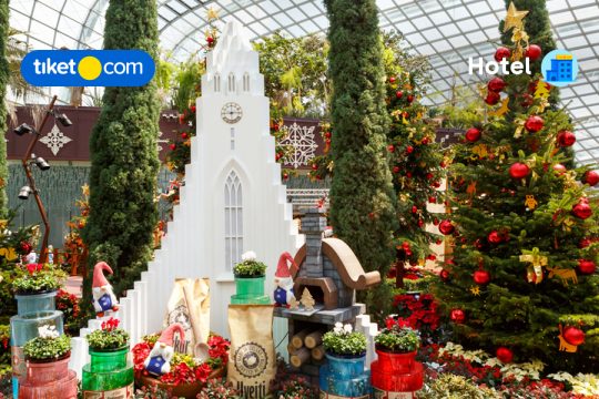 natal di singapore